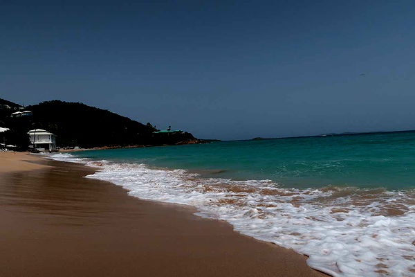 onlygracexrayne image ~ Altpins