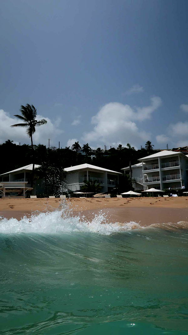 onlygracexrayne image ~ Altpins