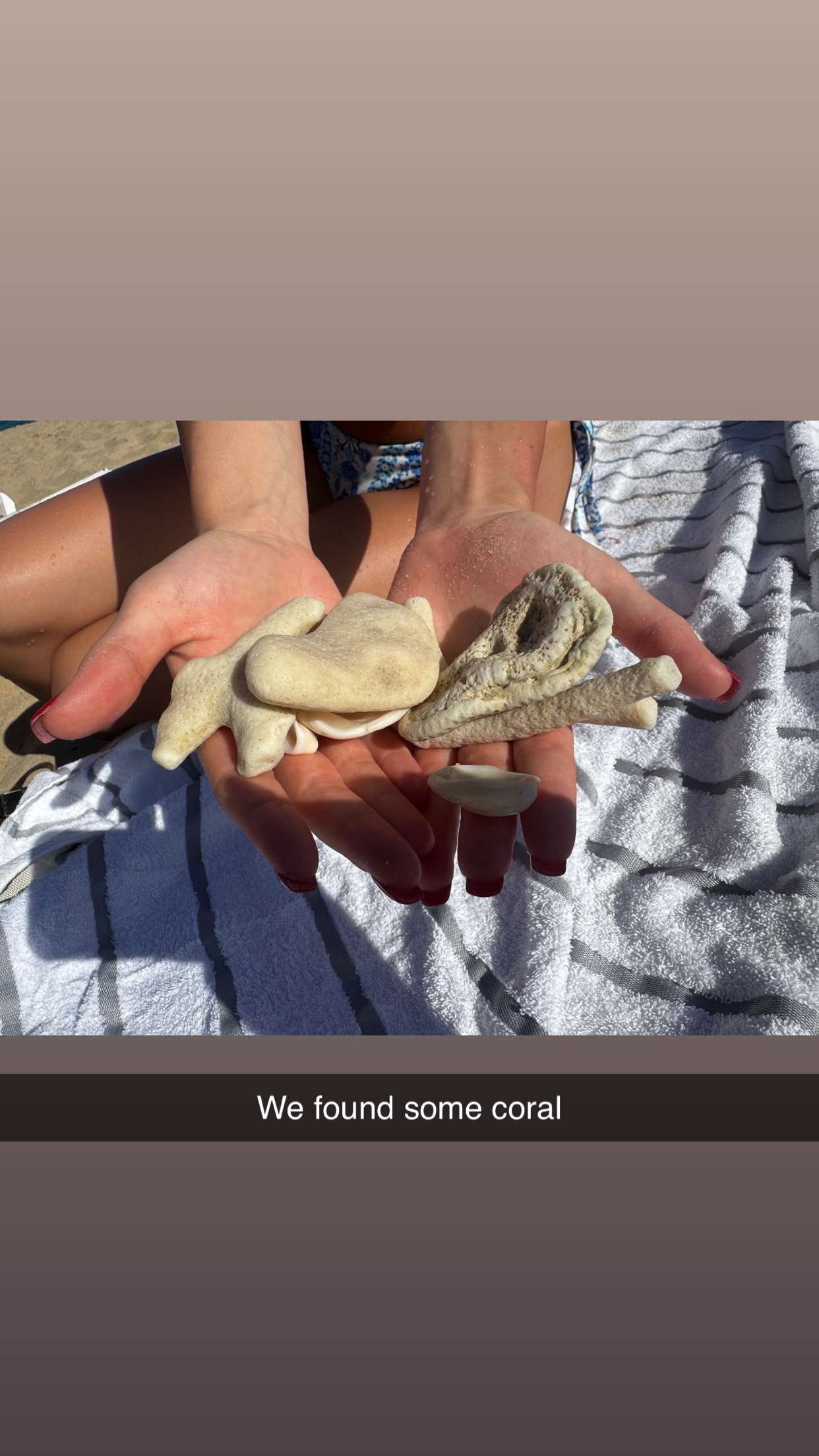 onlygracexrayne snapchat image archive image