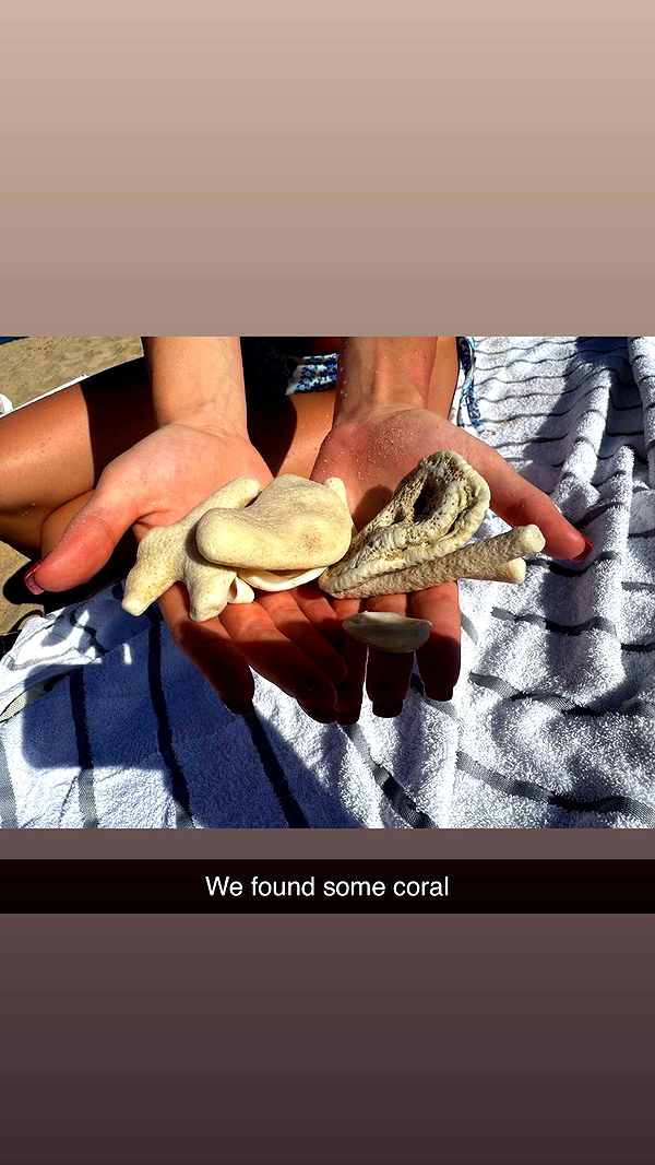 onlygracexrayne image ~ Altpins