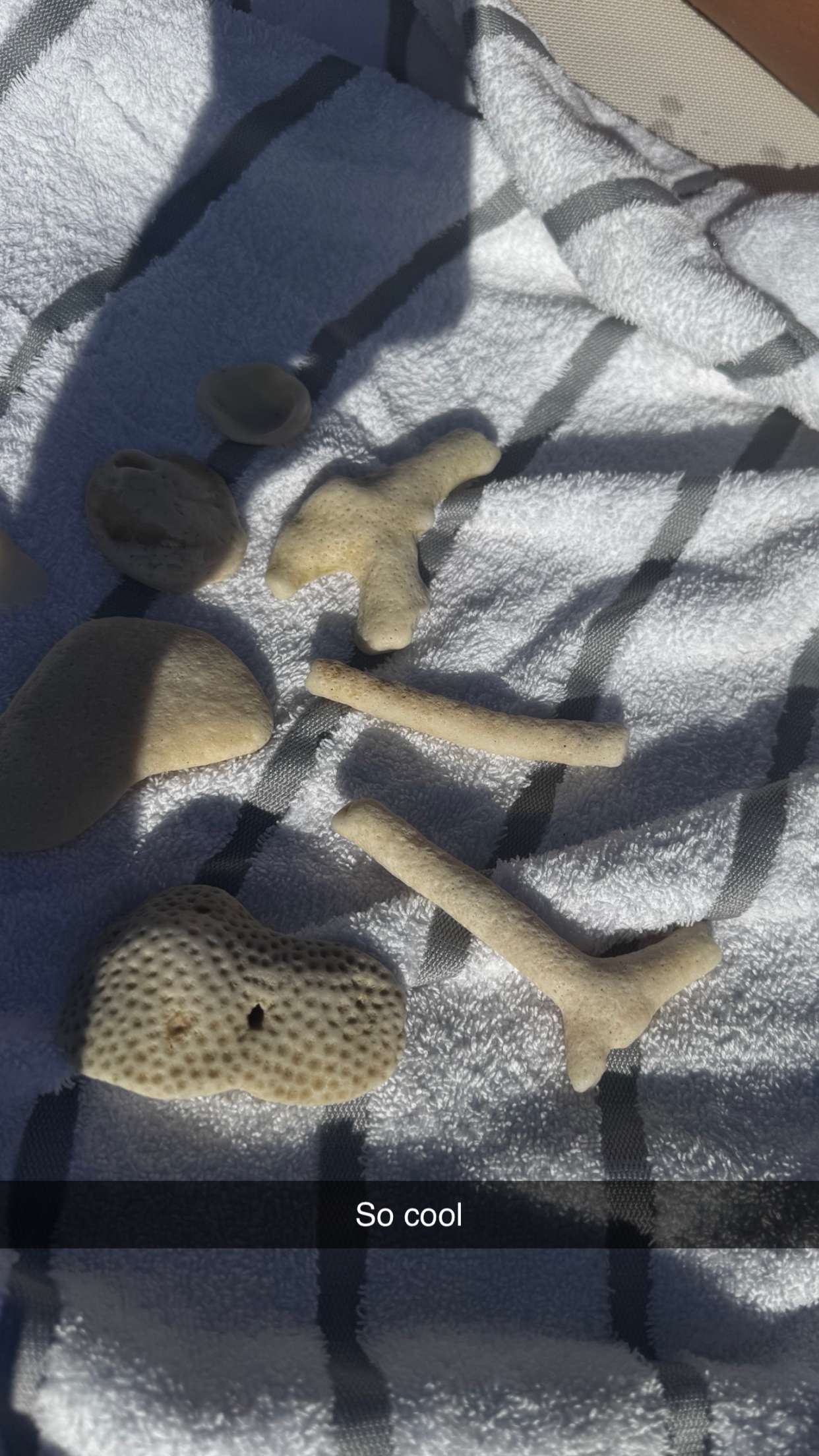 onlygracexrayne snapchat image archive image