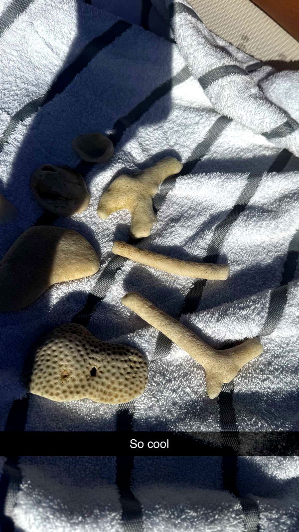 onlygracexrayne image ~ Altpins