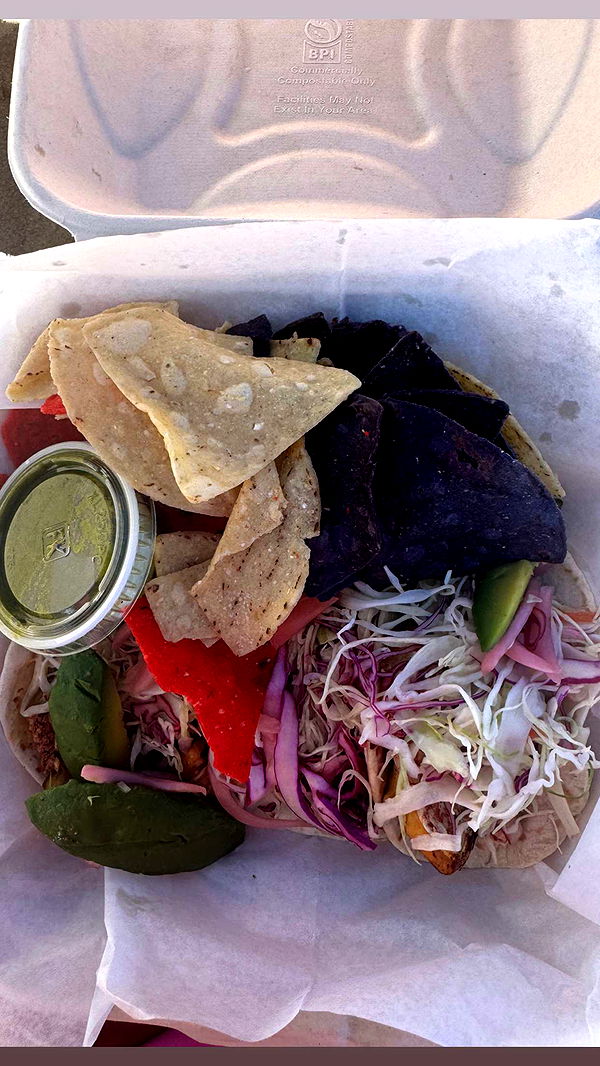 onlygracexrayne image ~ Altpins