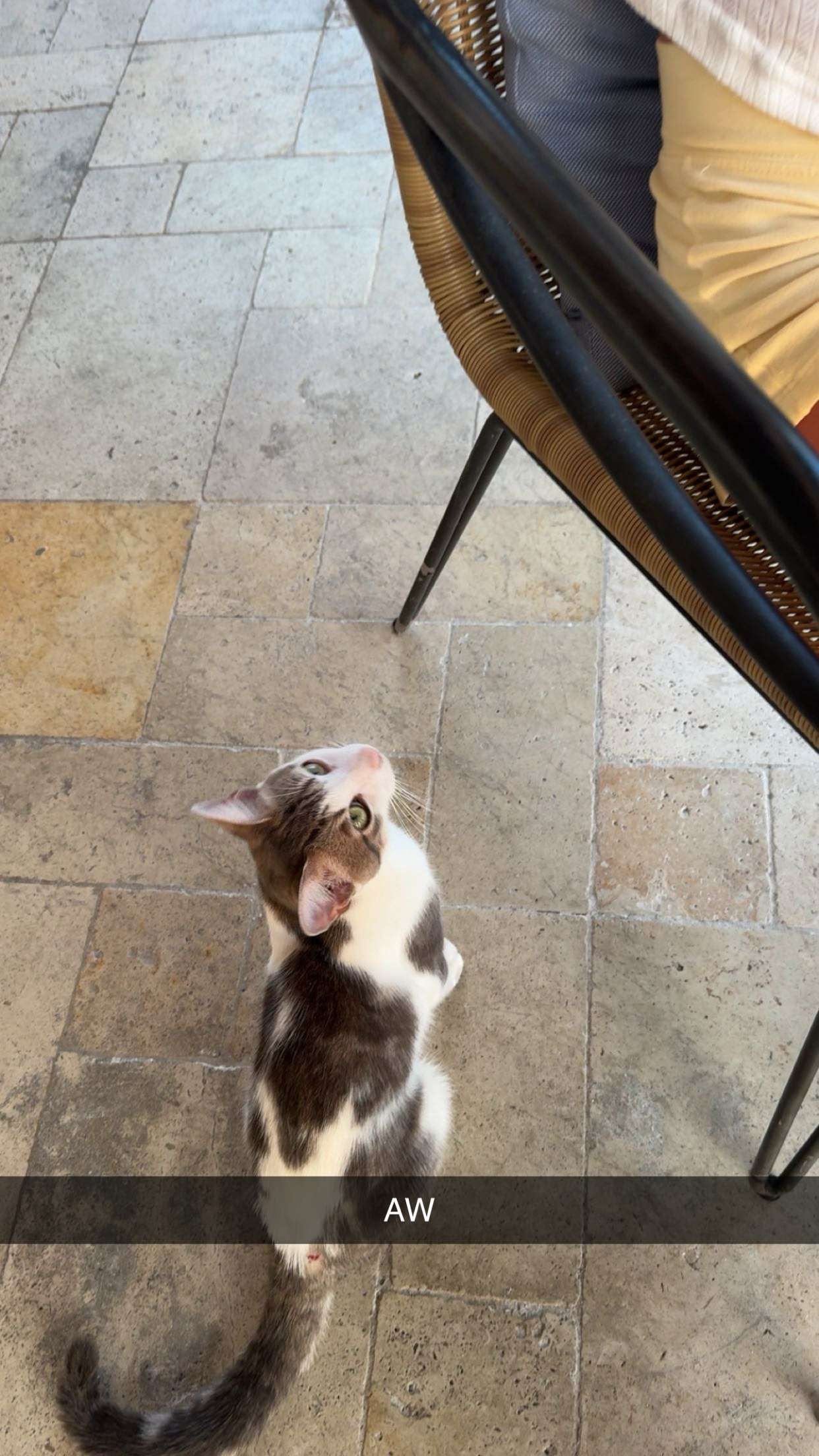 onlygracexrayne snapchat image archive image