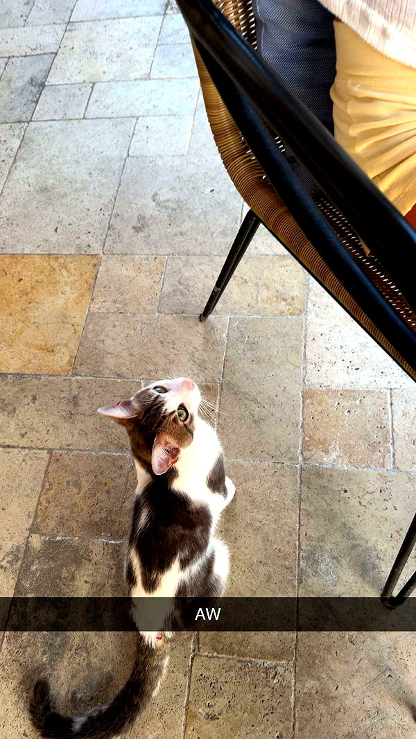 onlygracexrayne image ~ Altpins