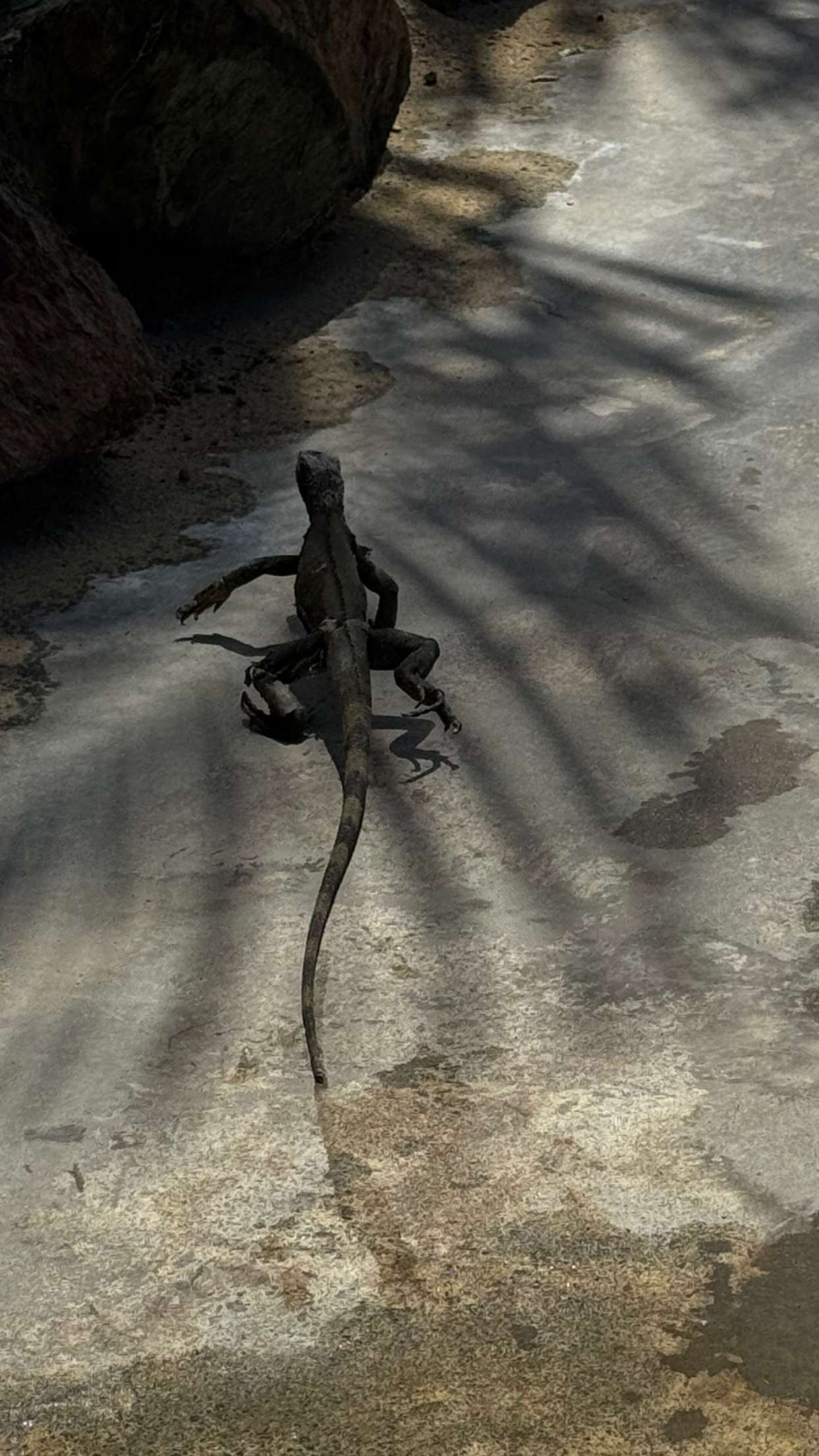 onlygracexrayne snapchat image archive image