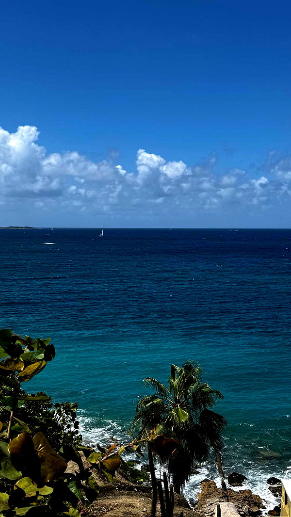 onlygracexrayne image ~ Altpins