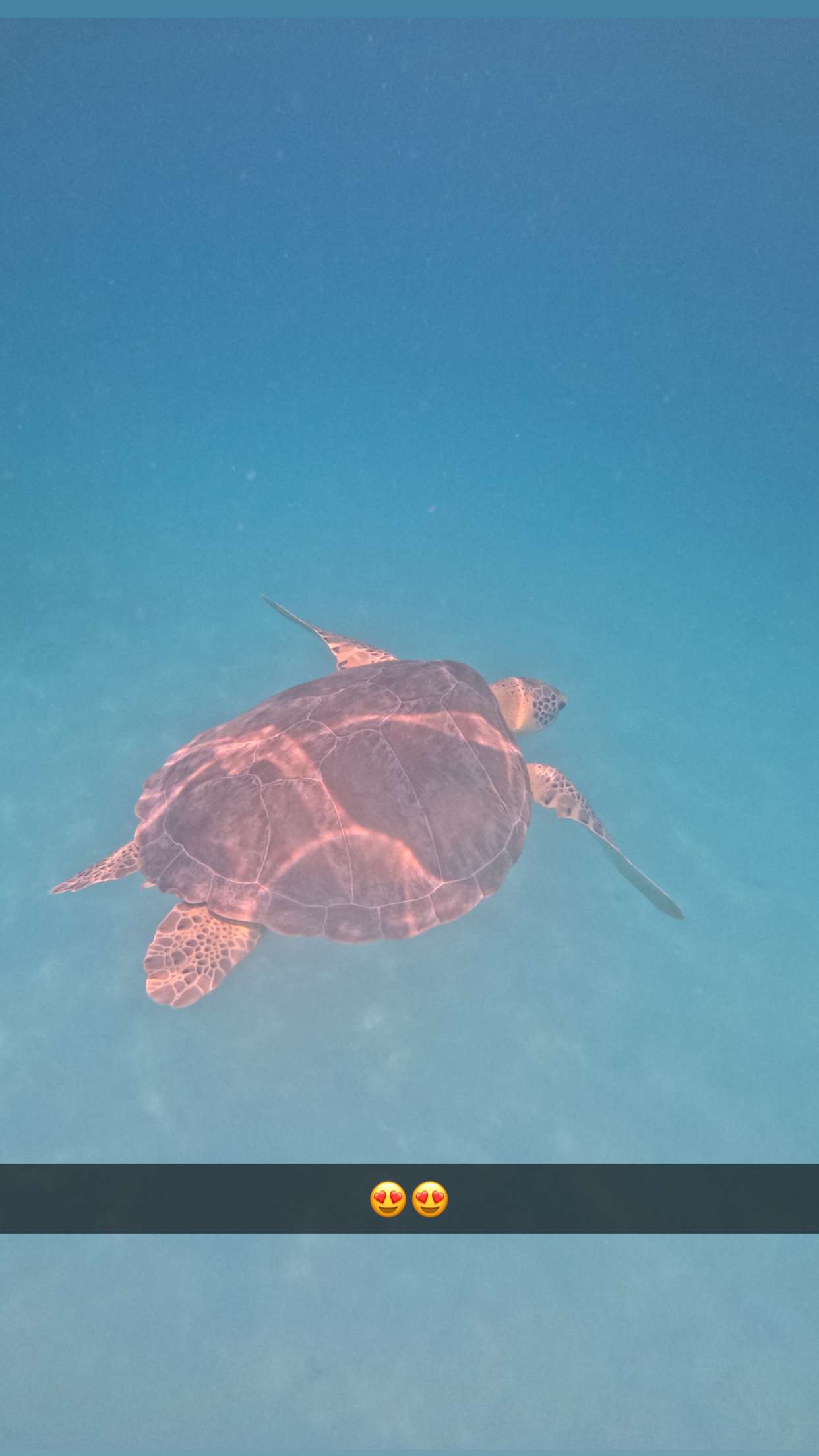 onlygracexrayne snapchat image archive image