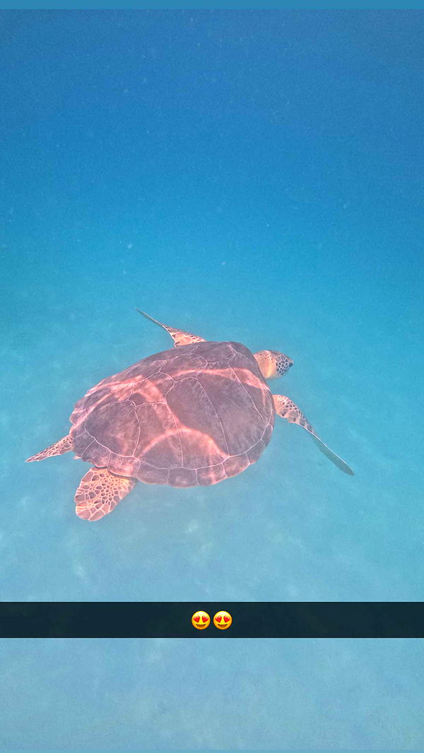 onlygracexrayne image ~ Altpins