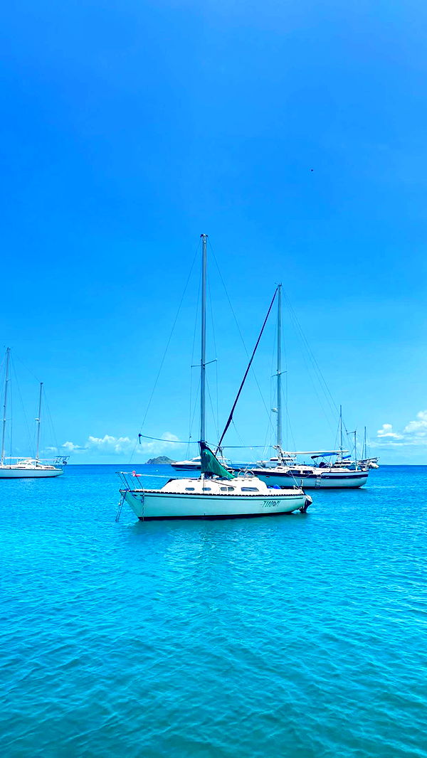 onlygracexrayne image ~ Altpins