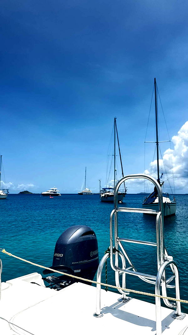 onlygracexrayne image ~ Altpins