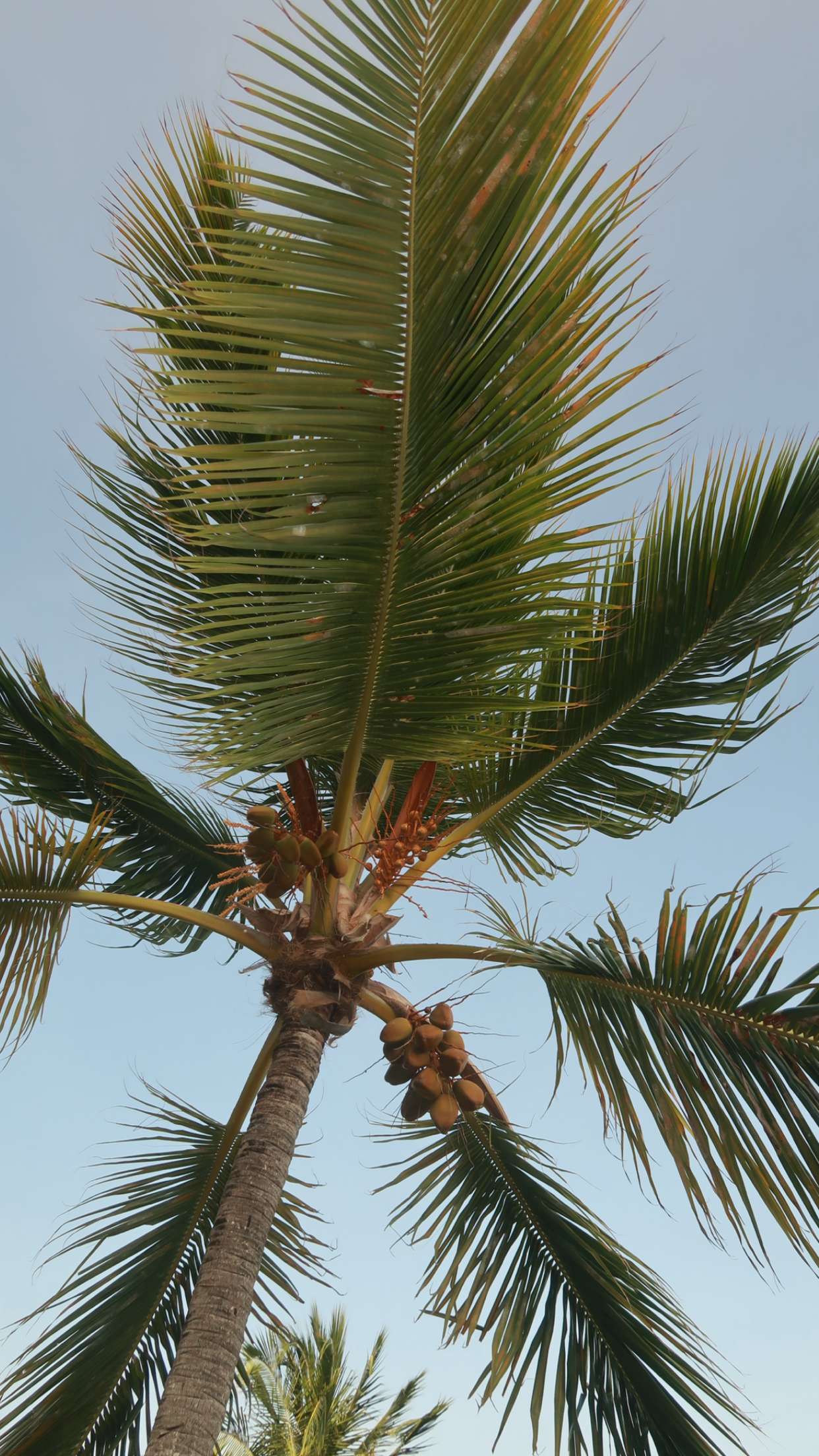 onlygracexrayne snapchat image archive image