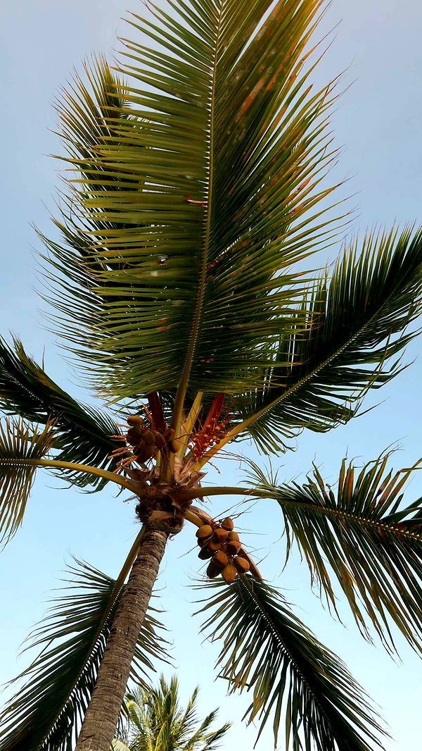 onlygracexrayne image ~ Altpins