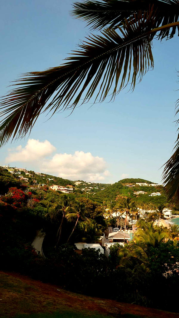 onlygracexrayne image ~ Altpins