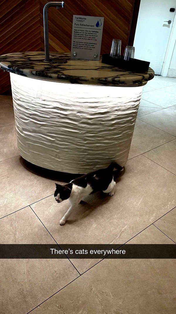 onlygracexrayne image ~ Altpins