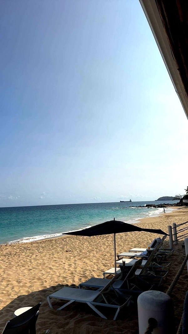 onlygracexrayne image ~ Altpins