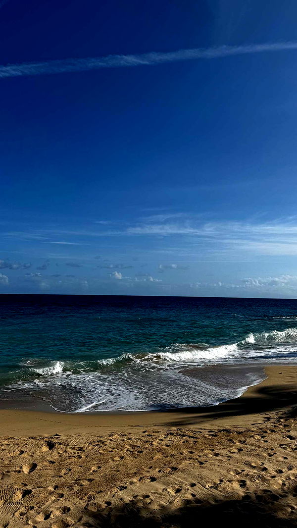 onlygracexrayne image ~ Altpins