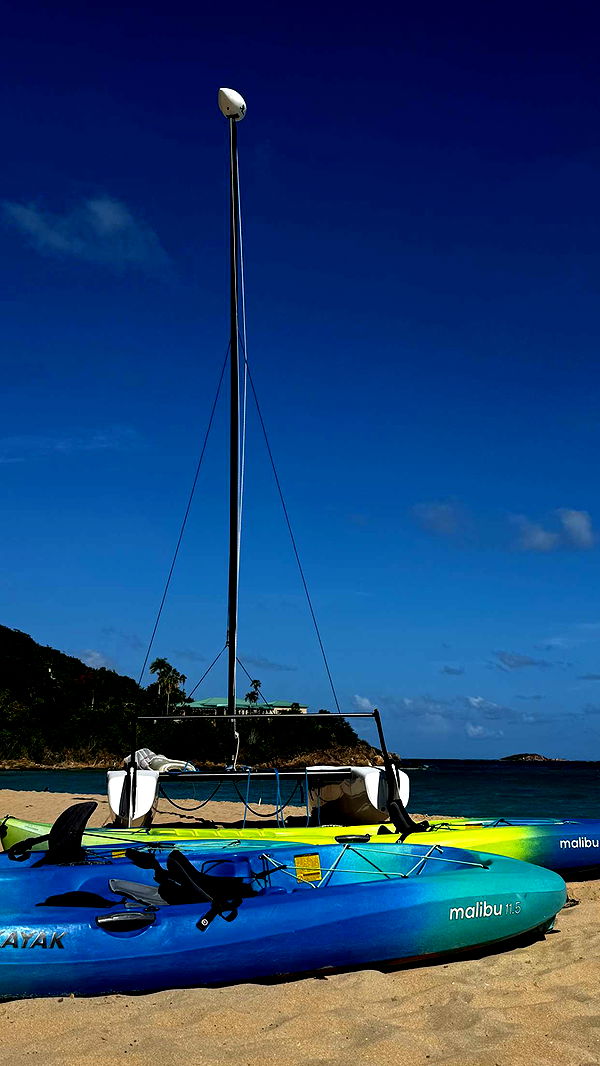 onlygracexrayne image ~ Altpins