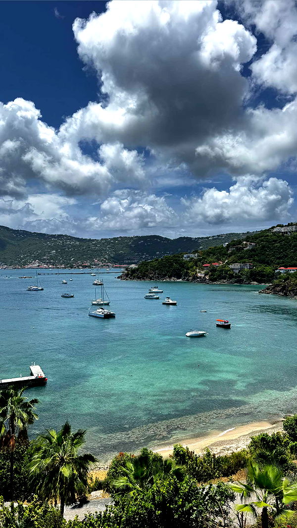 onlygracexrayne image ~ Altpins