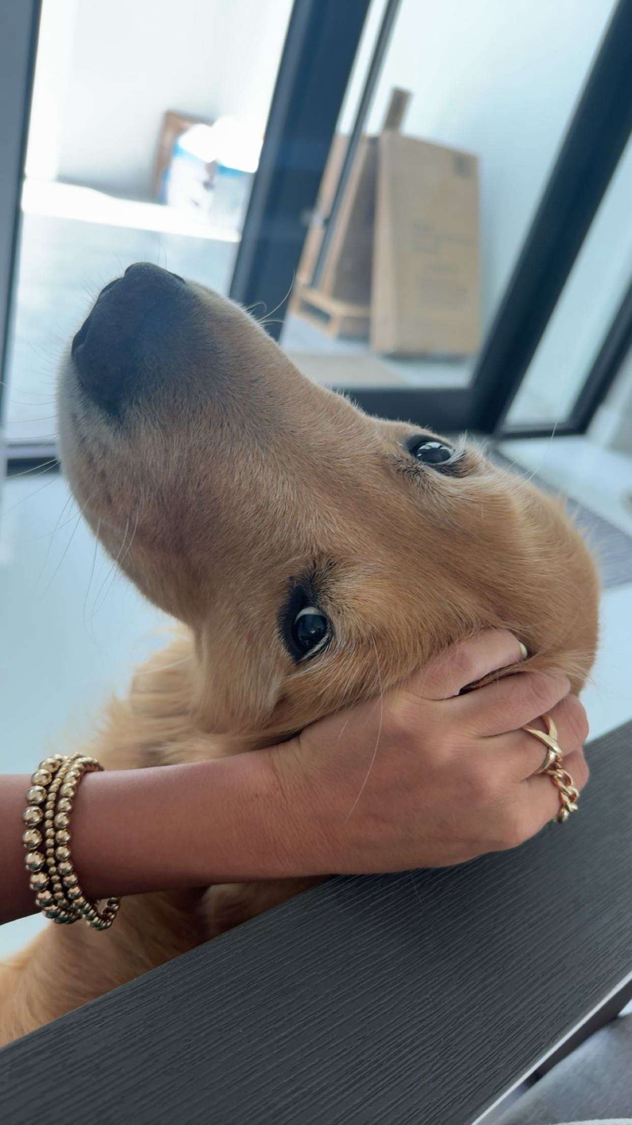 onlygracexrayne snapchat image archive image