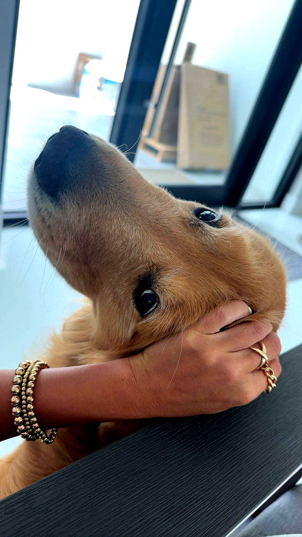 onlygracexrayne image ~ Altpins