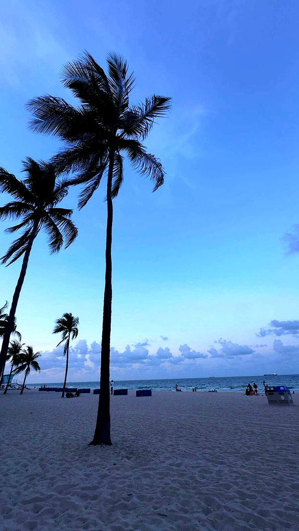 onlygracexrayne image ~ Altpins