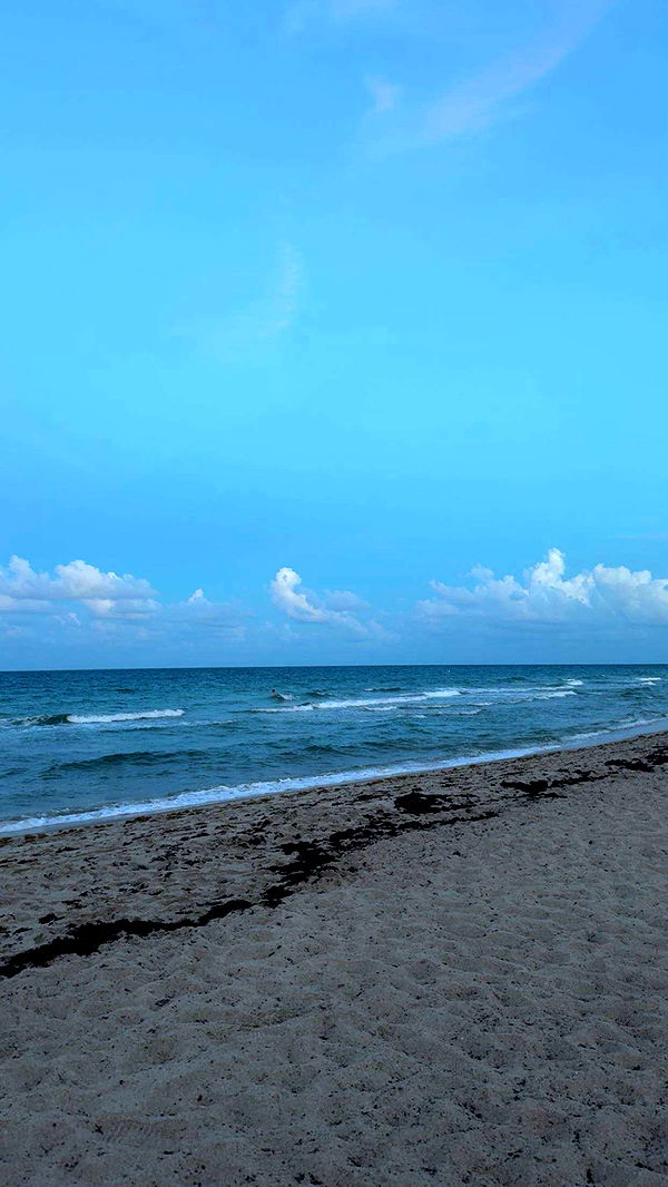 onlygracexrayne image ~ Altpins