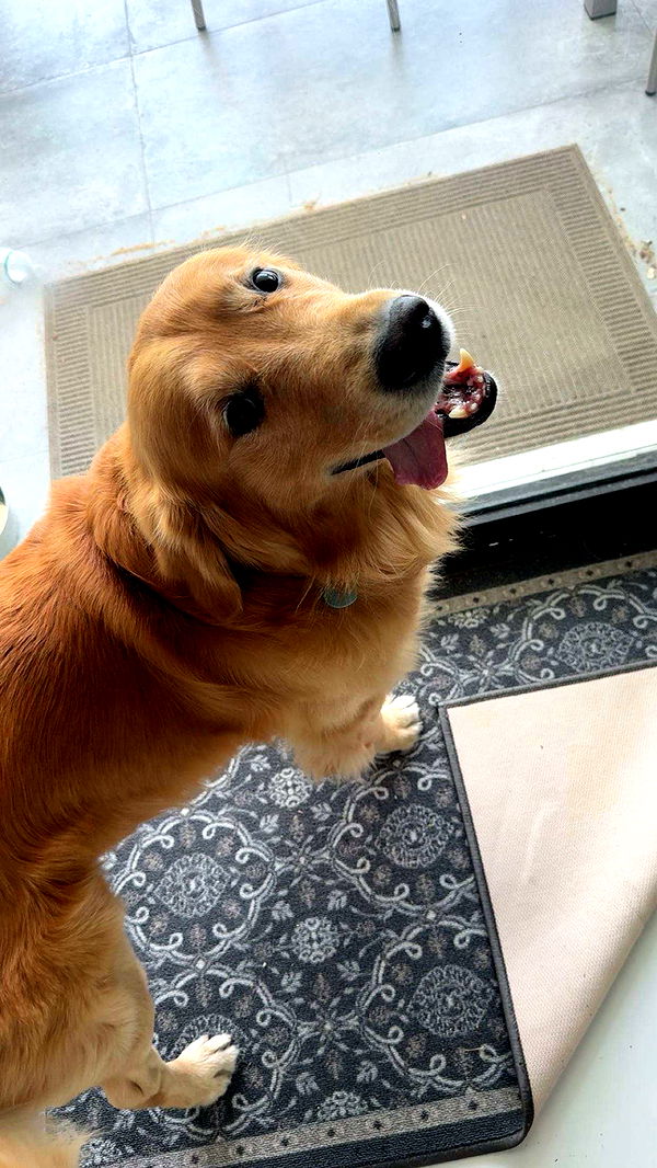 onlygracexrayne image ~ Altpins