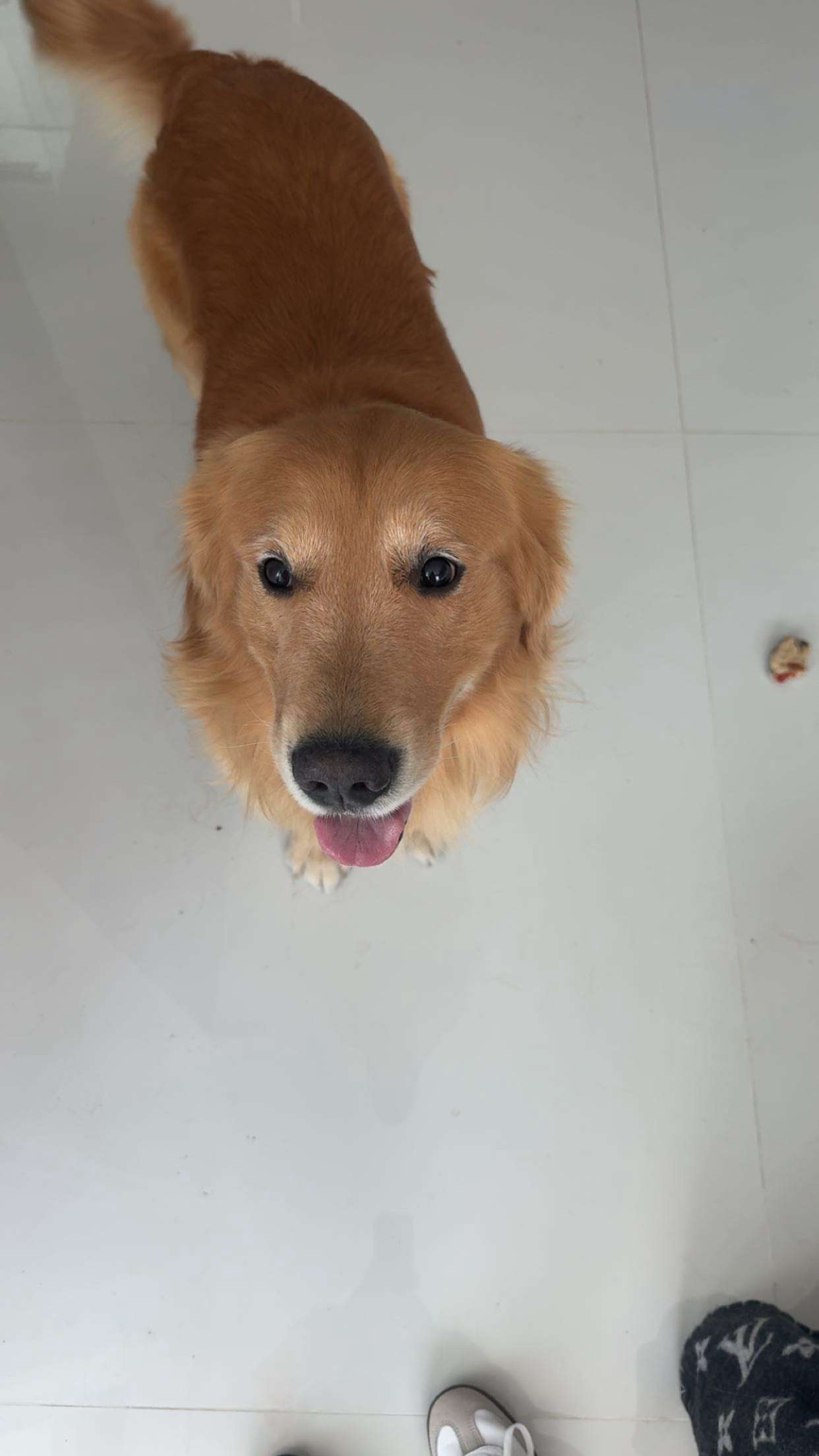 onlygracexrayne snapchat image archive image