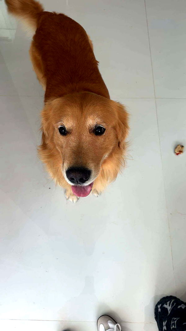 onlygracexrayne image ~ Altpins