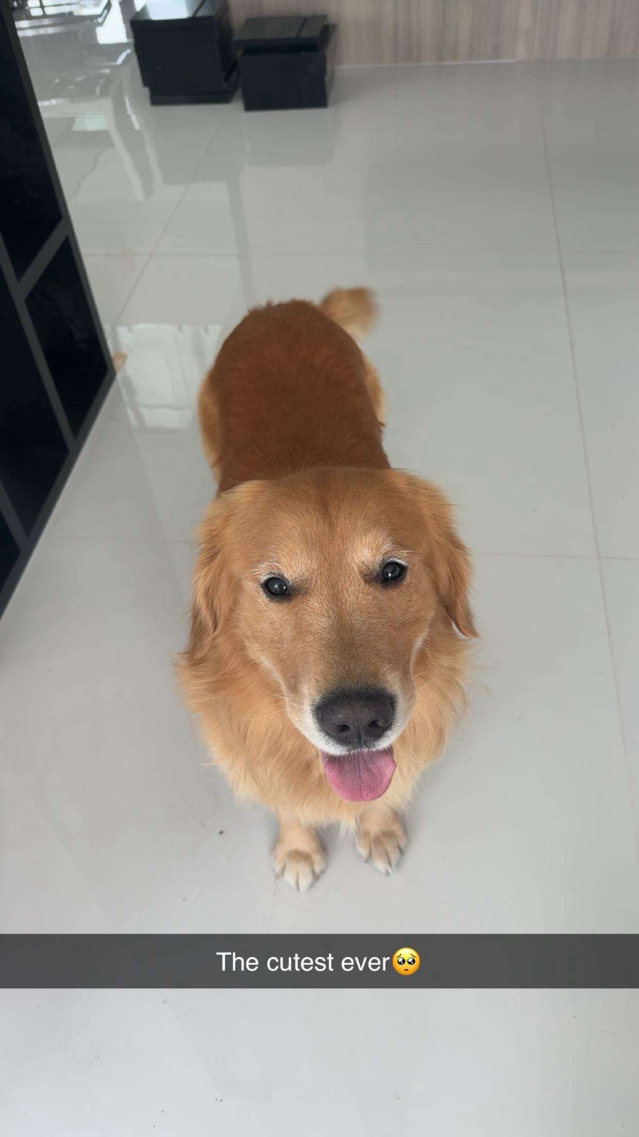 onlygracexrayne snapchat image archive image