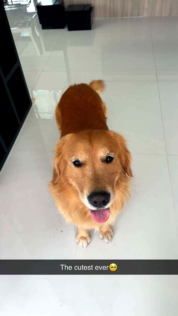 onlygracexrayne image ~ Altpins