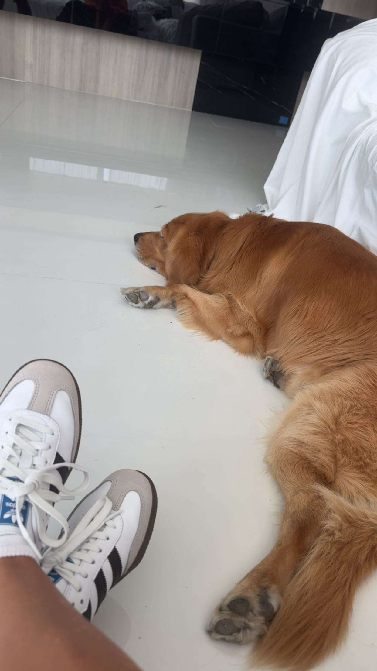 onlygracexrayne snapchat image archive image