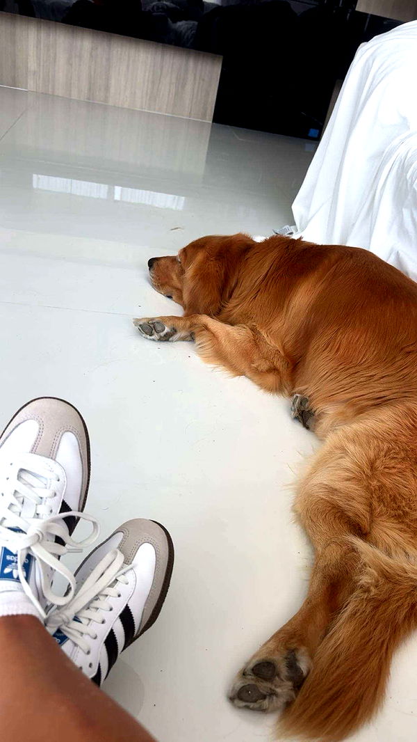 onlygracexrayne image ~ Altpins