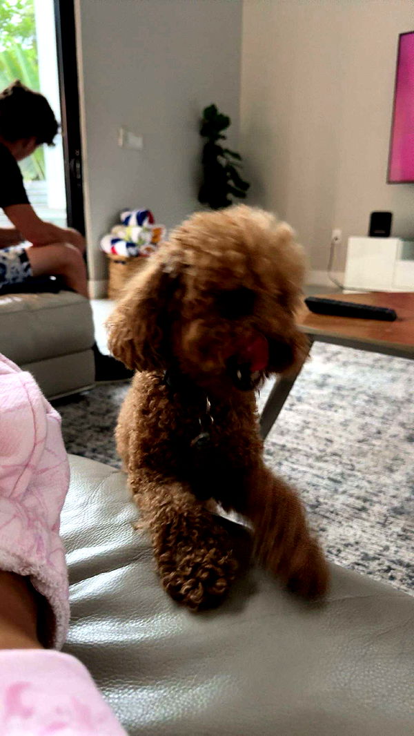 onlygracexrayne image ~ Altpins