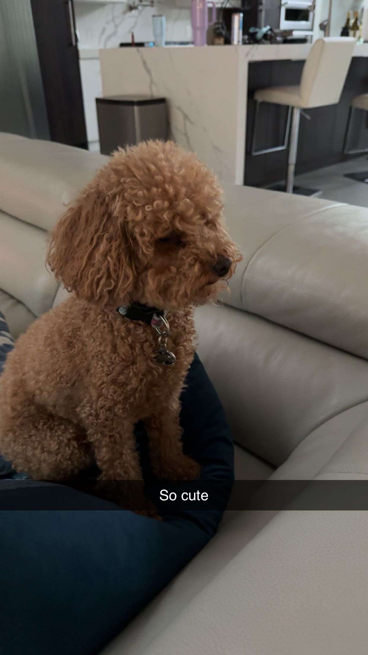 onlygracexrayne snapchat image archive image