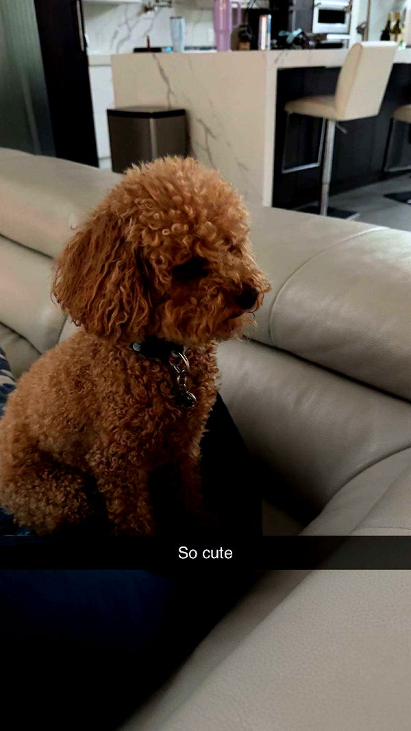 onlygracexrayne image ~ Altpins