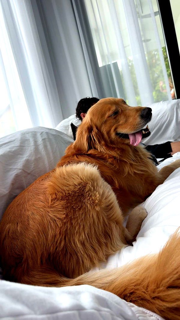 onlygracexrayne image ~ Altpins