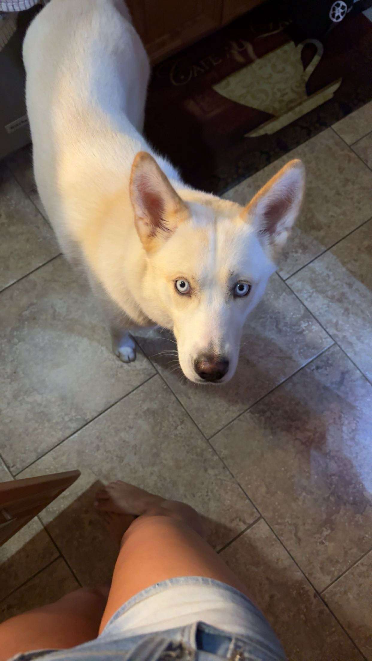 onlygracexrayne snapchat image archive image