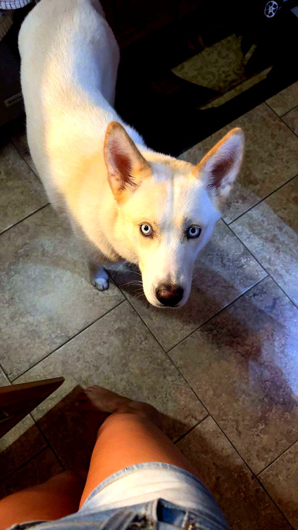 onlygracexrayne image ~ Altpins