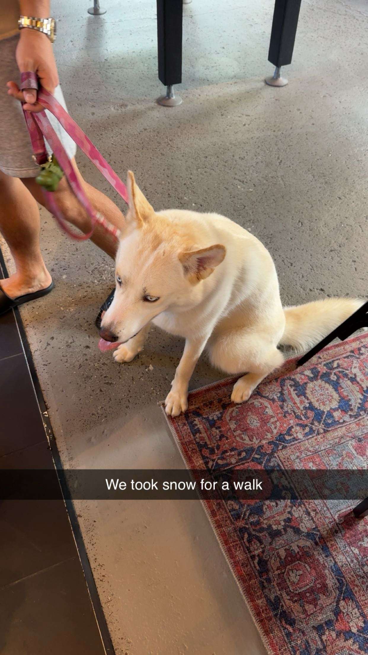 onlygracexrayne snapchat image archive image