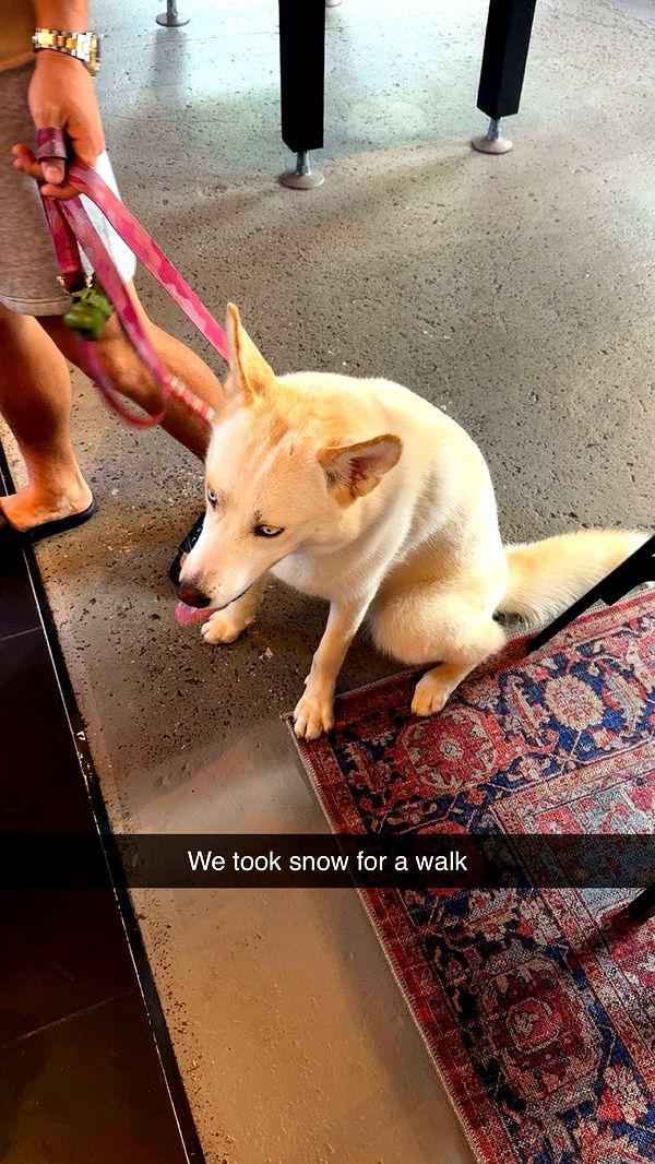 onlygracexrayne image ~ Altpins