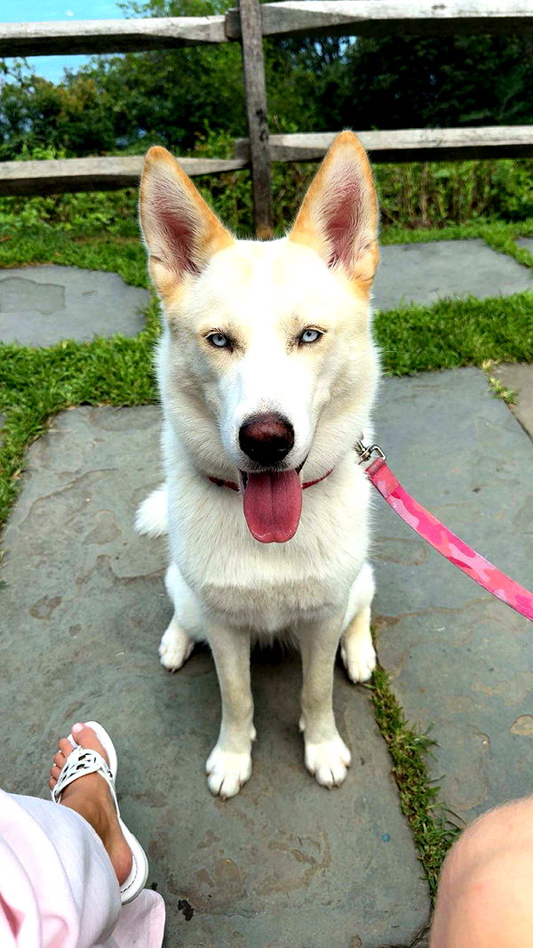 onlygracexrayne image ~ Altpins