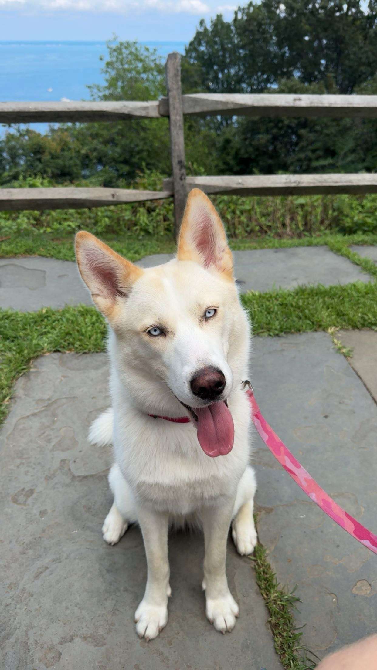 onlygracexrayne snapchat image archive image