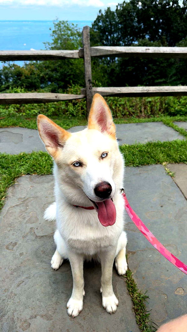 onlygracexrayne image ~ Altpins