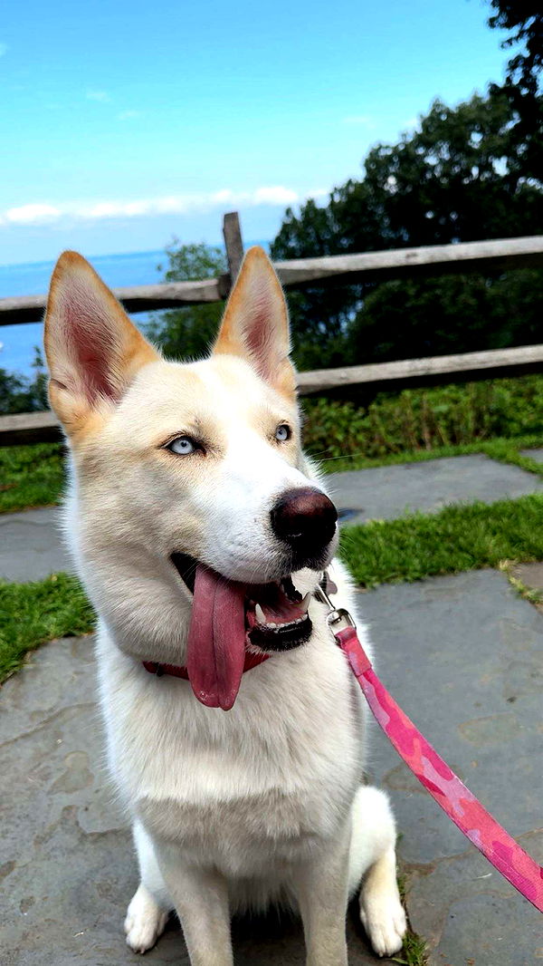 onlygracexrayne image ~ Altpins