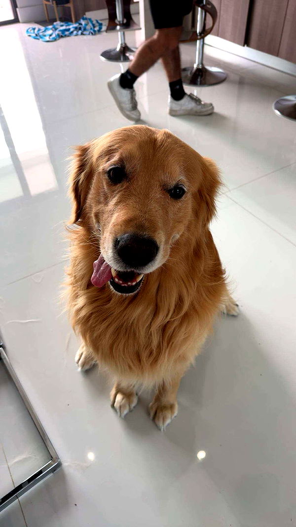 onlygracexrayne image ~ Altpins