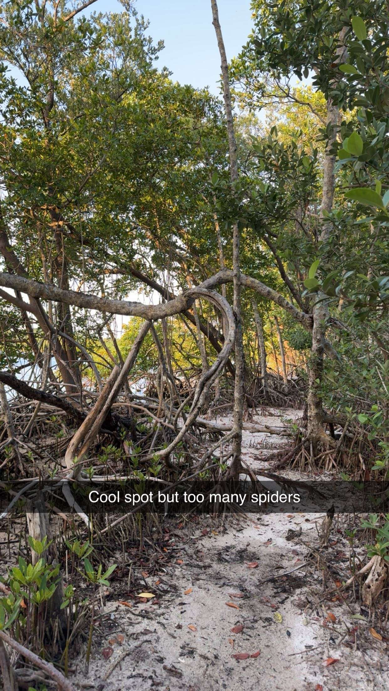 onlygracexrayne snapchat image archive image