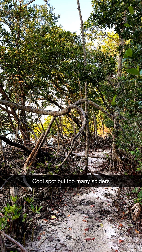 onlygracexrayne image ~ Altpins