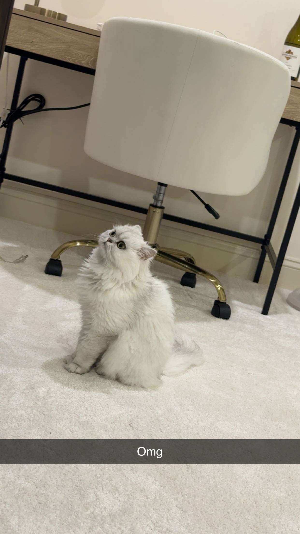 onlygracexrayne snapchat image archive image